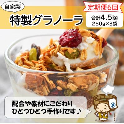 ふるさと納税 あわら市 【毎月定期便】自家製 フルーツグラノーラ 250g×3袋 750g(計4.5kg)全6回