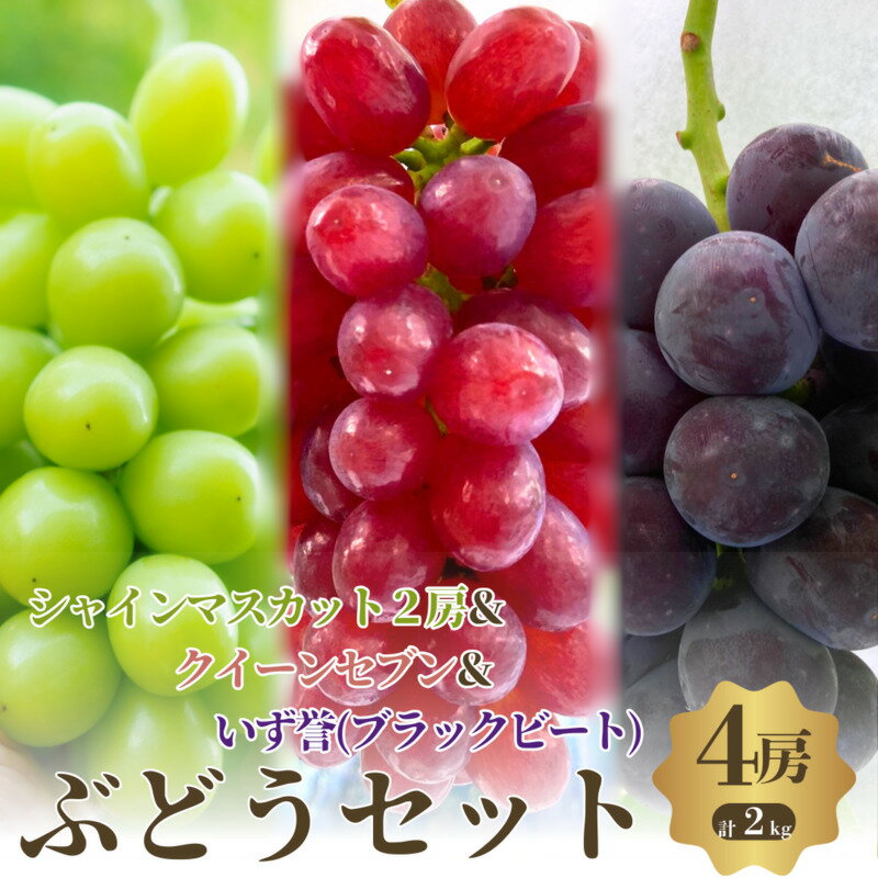 【ふるさと納税】【先行予約】【数量限定】おすすめ感謝 セット ぶどうセット シャインマスカット 2房 クイーンセブン 泉湧誉 4房 詰め合わせ 葡萄 マスカット 食べ比べ フルーツ 旬のフルーツ 大阪 大阪府 岸和田市　お届け：2026年8月中旬～9月中旬まで