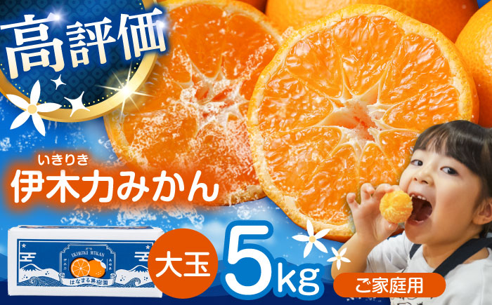 ※【2026年12月上旬より順次発送／先行予約】伊木力みかん(大玉) 5kg / みかん ミカン 蜜柑 柑橘 フルーツ ふるーつ 果物 くだもの / 諫早市 / 山野果樹園 [AHCF007]