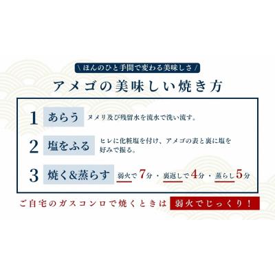ふるさと納税 梼原町 四万十川源流域の清流で育ったゆすはらアメゴ(6匹入り) |  | 03