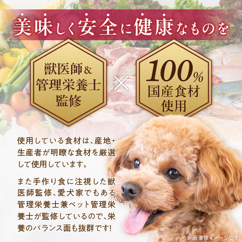 ペットフード 無添加ドッグフード・ブルズごはん ワンちゃんのおせち 犬用おせち _ ドッグフード ブルズごはん スープ 鹿もも肉 ブリ 肉 魚 年末 正月 新春 お祝い 厳選 手作り 獣医師監修 冷凍