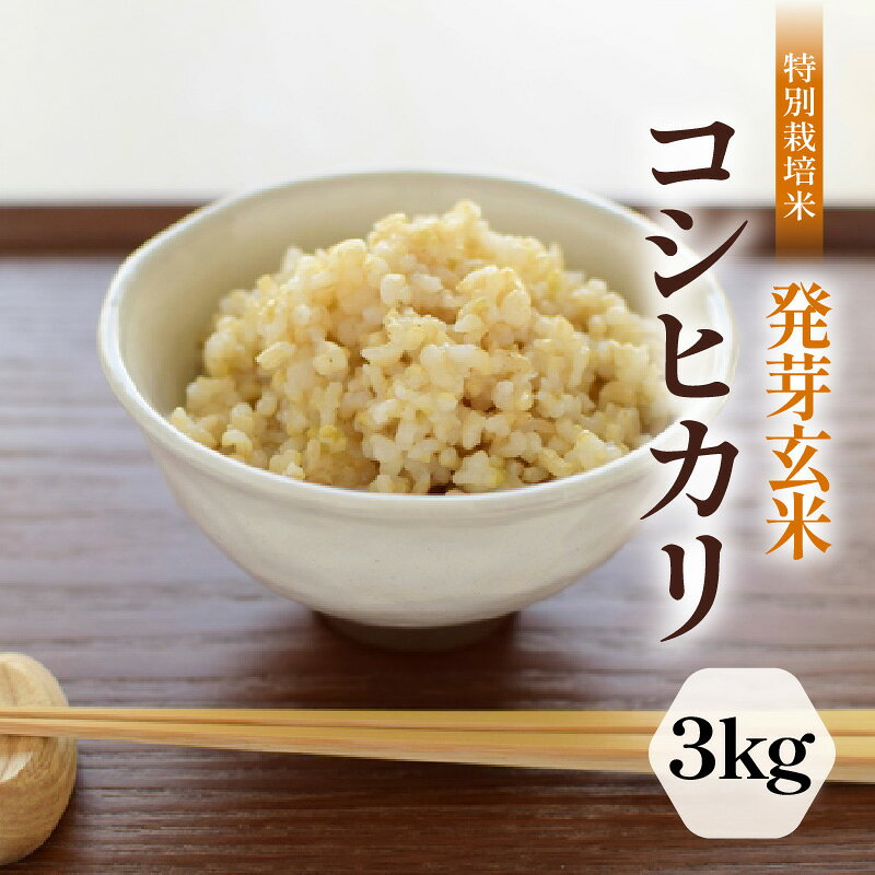 【ふるさと納税】【令和7年産】発芽玄米 特別栽培米 コシヒカリ 3kg 【米 玄米 こしひかり ギャバ GABA 特別栽培 食物繊維 栄養 真空パック ごはん ご飯 おいしい ふるさと納税米】