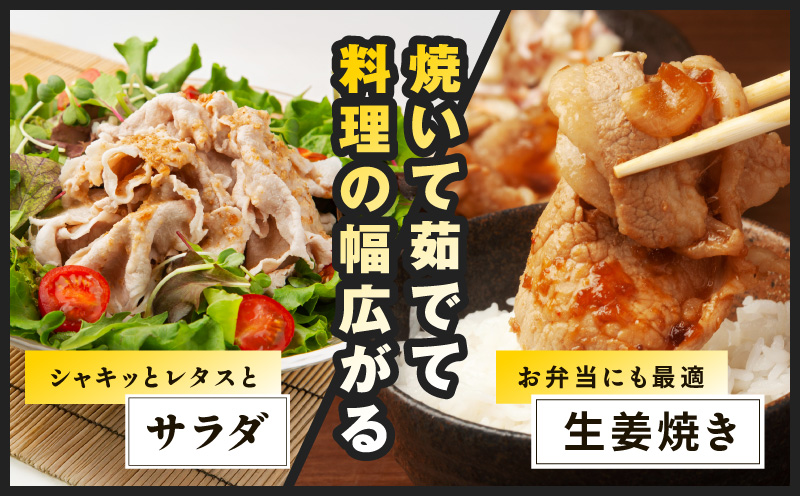 国産 豚肉 切り落とし 3.6kg【国産 味付け肉 400g×9P 小分け 訳あり 部位不揃い】 CFX0102