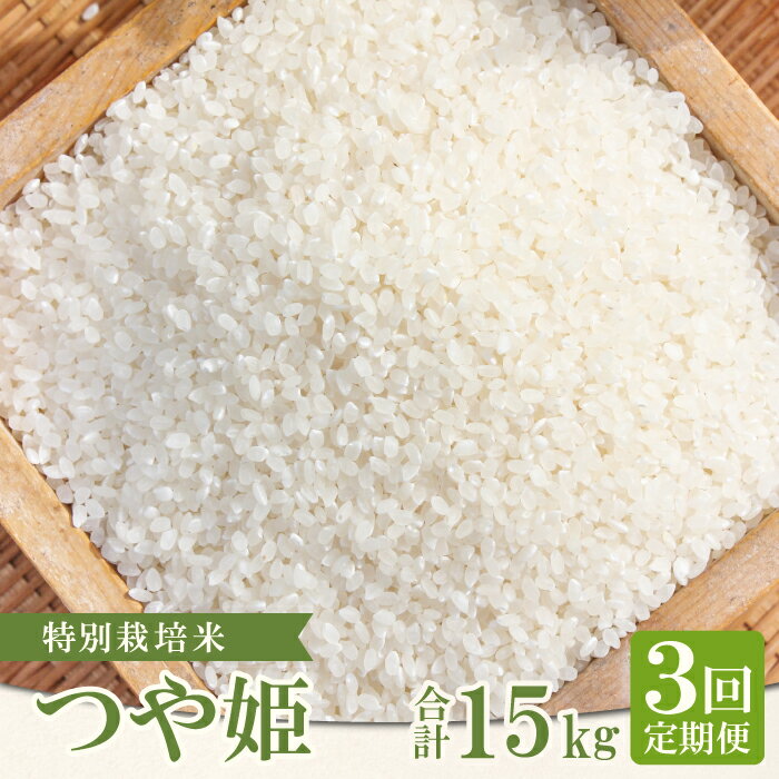 【ふるさと納税】【定期便】【新米】 特別栽培米 横尾衛門のつや姫 白米 5kg×3回 コース 3ヵ月 毎月お届け 精米 産地直送 つや姫 ご飯 弁当 おにぎり 昼食 特産品 ブランド米 お米 お取り寄せ