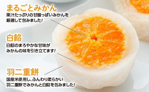 みかん丸ごと1個入った甘仙堂のみかん大福 10個入 大福 和菓子 スイーツ [みちのく和菓子処 甘仙堂]