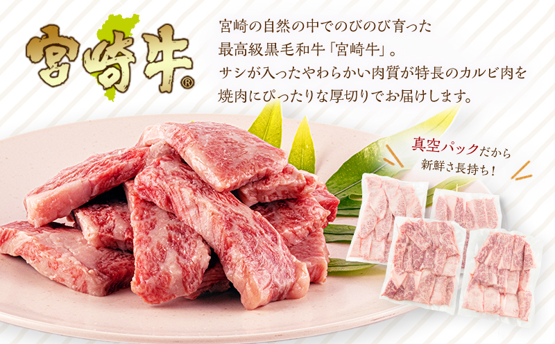 宮崎牛 カルビ(バラ) 焼肉 250g×4パック 合計1kg_M241-006_01