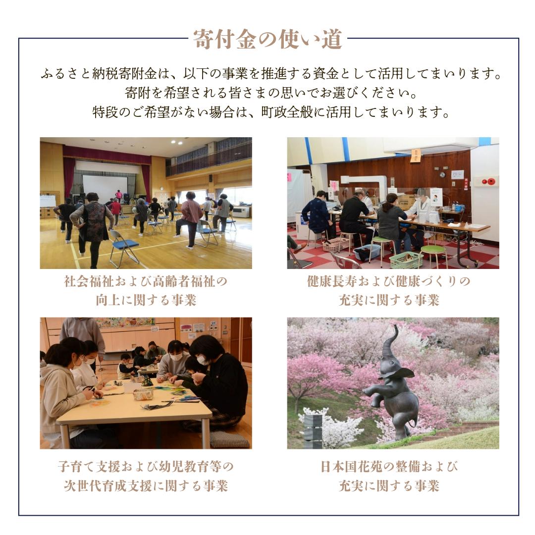 【令和７年分先行受付】とうもろこし　5本　秋田県井川町産　つかまファーム