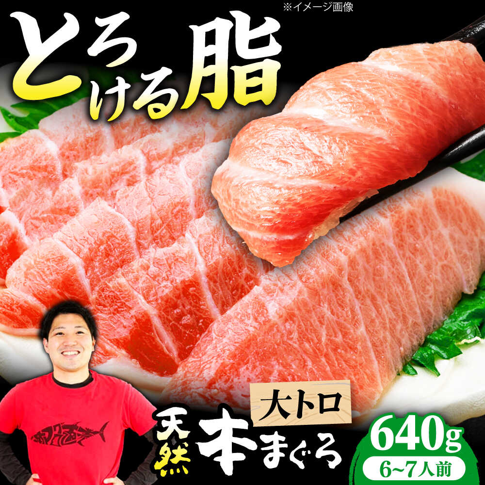 【ふるさと納税】極上！たね熟天然本まぐろ大トロ(640g) 天然 マグロ 鮪 大トロ 刺身 魚 魚介 大阪府高槻市/本まぐろ直売所[AOCE007]