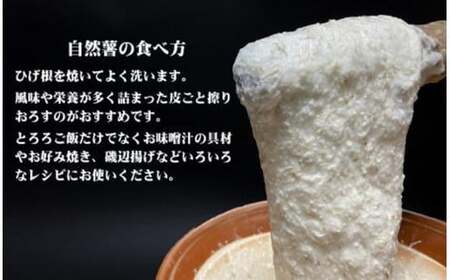 【定期便5ヵ月】那須町産 自然薯（カット）600g～650g | とろろ 贈り物 お土産 グルメ 美味しい おいしい 食べ物 那須 栃木県 那須町〔D-61〕 ※2026年12月～発送