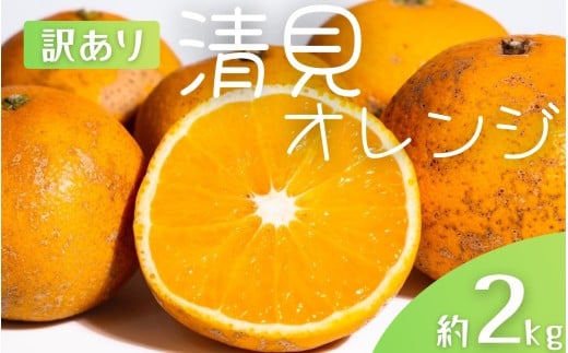 【先行予約】【訳あり】 森本農園の手選別 清見オレンジ 約2kg 和歌山県産 サイズ混合 ※2026年2月上旬～5月中旬頃順次発送 / 清見 きよみ オレンジ 柑橘 期間限定 由良町 果物 フルーツ 和歌山県【mrmt023A】