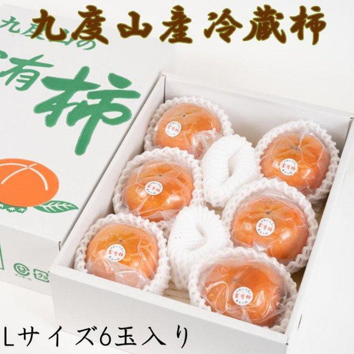 【ふるさと納税】［まごころ栽培］九度山の冷蔵富有柿Lサイズ6玉入り★2026年1月下旬頃より順次発送［TM121］ | フルーツ 果物 くだもの 食品 人気 おすすめ 送料無料
