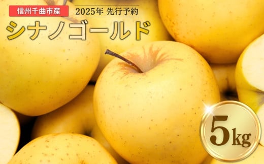 【2025年先行予約】りんご シナノゴールド 12~20玉 約5kg ｜ リンゴ 林檎 フルーツ 果物 信州りんご 長野県産 千曲市 信州