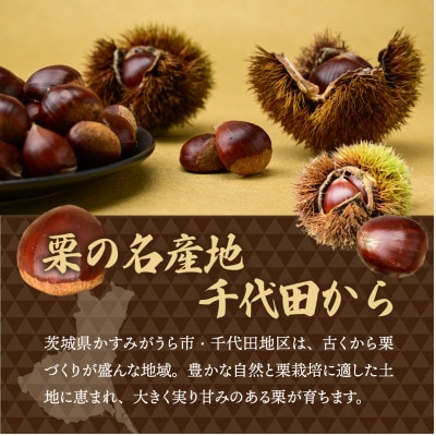 千代田のこだわり生栗 2kg 和栗 2Lサイズ | 茨城県 かすみがうら市【1787734】