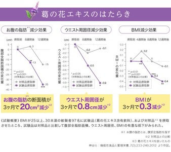 DHC お腹の脂肪が気になる方の葛花茶 特定保健用食品 30日分 2個(60日分) セット 