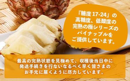 お試し用 ピーチパイン 2玉 約1.3kg