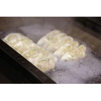 ふるさと納税 焼津市 餃子研究所　肉餃子×6パック(a11-148) |  | 02