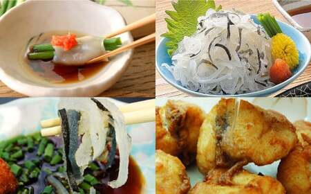 とらふぐフルコース【刺身菊盛・ちり鍋】鍋〆に米麺付き たっぷり豪華 2人前 ふぐ刺身 ふぐ皮 ふぐひれ ふぐちり ヒレ酒 冷凍 岡垣町