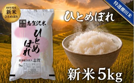 【 令和8年産 】新米 特選棚田米 ひとめぼれ 5kg おこめ お米 白米 精米 コメ ライス ごはん ご飯 国産米 棚田米 安心 安全 安定 定番 オールマイティ バランス 絶妙 口あたり おべんとう 弁当 おにぎり 冷めてもおいしい 和洋中 子どもからお年寄りまで 全世代適応 志賀沢米 岩沼産米
