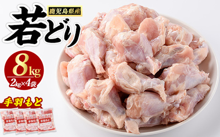 若どり手羽元(8kg)【まつぼっくり】matu-1460R7