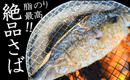 大寒の極み 高級サバ干物 5枚 鯖 さば 塩サバ ノルウェー産 一枚ずつ 梱包 パウチ 高級 お取り寄せグルメ お試し 長期保存 贈答 贈物 贈り物 ギフト プレゼント 送料無料 千葉県 銚子市 武内