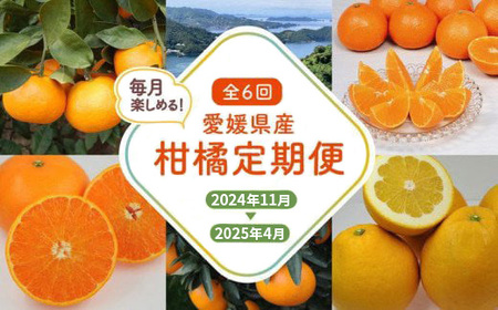 【愛媛県共通返礼品】【定期便】愛媛の柑橘定期便（全6回）（日の丸みかん・紅まどんな・いよかん・甘平・せとか・河内晩柑） ※2024年11月～2025年4月に毎月1回発送予定