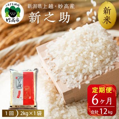 ふるさと納税 妙高市 2025年11月上旬発送【定期便】令和7年産新潟県上越・妙高産新之助2kg×6回(計12kg)