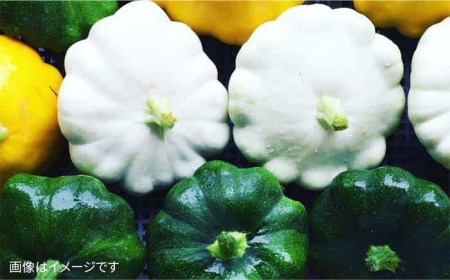 【 全3回 定期便 】【 農薬・化学肥料 不使用 】こだわり 高級希少野菜 セット （ 7品前後 ） 《糸島》【オーガニックナガミツファーム】 	[AGE016]