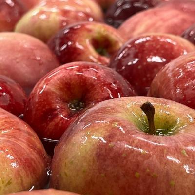 ふるさと納税 福島市 ふくしまシードル飲み比べセットNo.2857 |  | 02