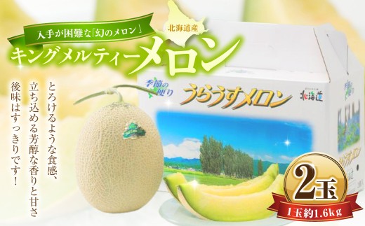 キングメルティーメロン 2玉 （1玉 約1.6kg） くだもの 果物 果実 フルーツ メロン めろん 青肉 青肉メロン 希少 北海道産 北海道 浦臼町 【2026年7月上旬～7月下旬迄順次発送予定】