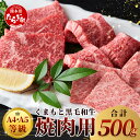 【ふるさと納税】≪ A4～ A5 等級 ≫ くまもと黒毛和牛 焼肉用 500g ブランド 牛肉 肉 やき肉 焼き肉 バラ ロース モモ 和牛 国産 熊本県 上級 上質 BBQ アウトドア お肉 冷凍 九州産 熊本県産 送料無料