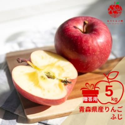 りんご ふじ 約5kg (14～20玉) 青森県産 贈答用【先行受付12月より順次発送】_A-841【配送不可地域：離島】