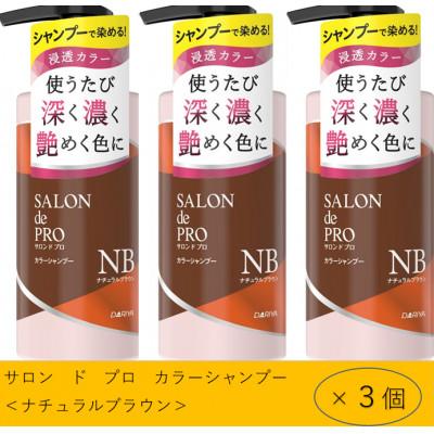 ふるさと納税 稲沢市 ダリヤ　サロン　ド　プロ　カラーシャンプー&amp;トリートメント《ナチュラルブラウン》各3個セット