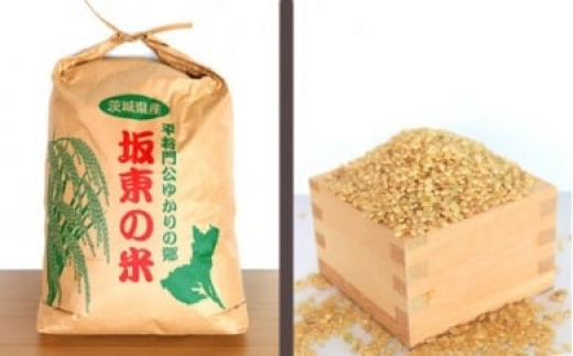 
                  【令和7年産】茨城県坂東産　コシヒカリ20kg（玄米）／ こしひかり 令和7年 米 お米 おこめこめ コメ ご飯 国産米 20kg 20キロ 旨味 粘り 柔らかな食感 ガッツリ 弁当 おいしい お取り寄せ 産地直送 産直 坂東市産 茨城県産 茨城産 茨城県 特産品 No.177
                