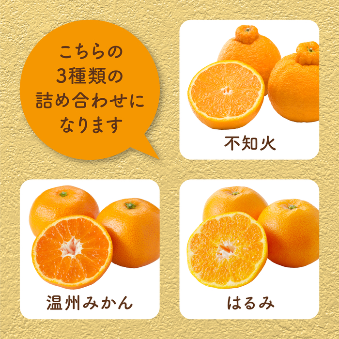 【先行受付】瀬戸内 旬の柑橘詰め合わせ 約5kg 白鷺農園《2026年2月下旬～4月上旬頃出荷》温州ミカン ハルミ 不知火 デコポンと同品種  柑橘 フルーツ 果物 はるみ みかん しらぬい デコポン 贈答 164004