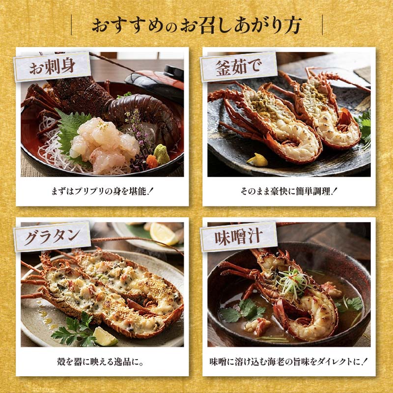 冷凍 伊勢海老 活 700g Nセット 下田産 伊勢エビ 海老 活き締め 国産 海老 えび 刺身 味噌汁 おつまみ バーベキュー BBQ おせち ギフト 贈答 プレゼント 伊豆 辻水産 下田市 静岡県
