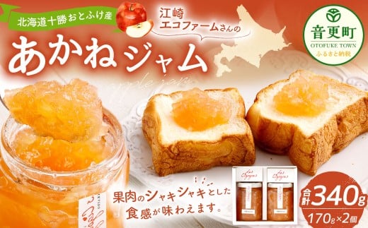 [先行受付] 江崎エコファームさんのあかねジャム（りんごジャム）170g×2個【B132】《2025年11月上旬-2026年1月下旬 発送予定》