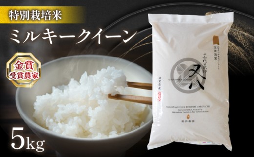 【 1～2週間以内に発送 】令和8年米 ミルキークイーン 5kg ビニール包装 ( 令和8年産 金賞受賞農家 2026年産 ブランド 米 五キロ 米 おすすめ お米 白米 精米 米 ご飯 KOME rice 内祝い 若井農園 十六代目米師又八 謹製 国産 滋賀県竜王町 ふるさと納税 白米 精米 お米 ブランド米 産地直送 こだわり 白米 こめ コメ お米 おこめ 精米 R8 数量限定 白飯 ）