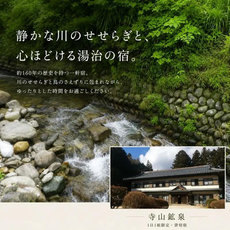 寺山鉱泉【1日1組限定】宿泊補助券(1泊2食付き、2名様)｜矢板市 温泉 観光 旅行 宿泊クーポン チケット 