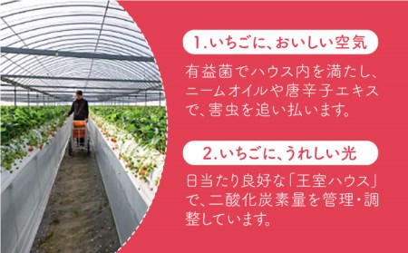 【全3回定期便】王様のいちご 1kg冷凍いちご むらおか農園 HAF011 冷凍いちご冷凍いちご冷凍いちご