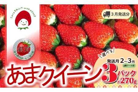 《2026年産先行予約》「西脇市産 佐藤果実工房 あまクイーン」（約270g×３パック 約810g）【佐藤果実工房 全国いちご選手権3年連続上位入賞農園 TVで紹介!】令和８年３月上旬配送分　09-46-3-上旬
