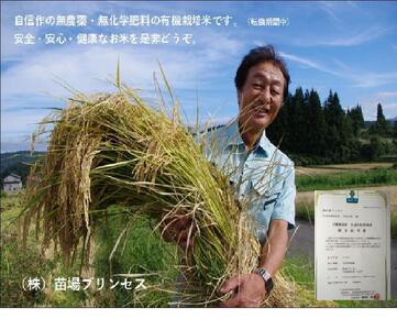 魚沼産コシヒカリ　苗場プリンセス　特別栽培米　農薬化学肥料５割減　精米（5ｋｇ）×1