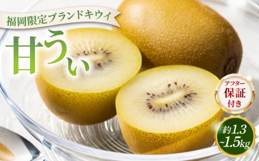 寄附額改定↓【先行予約】希少 キウイ 甘うぃ 約1.3～1.5kg（2026年11月以降発送）|果物 旬 国産 産地直送 キウイ キウイフルーツ キウィフルーツ 甘うぃ 送料無料 那珂川市 福岡県