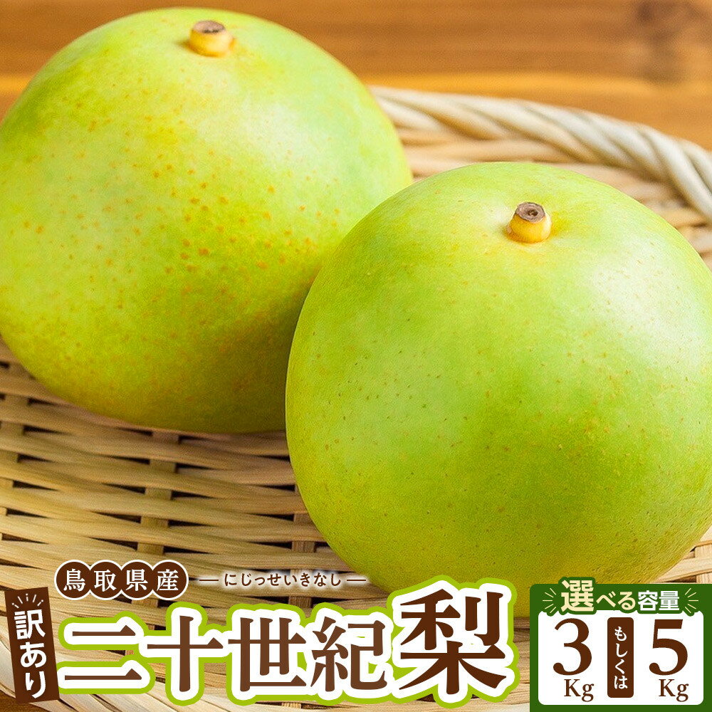 【ふるさと納税】＜選べる容量＞ 先行予約 【訳あり】 二十世紀梨 3kg/5kg | 家庭用 訳アリ 自宅用 梨 なし ナシ 二十世紀 鳥取県産 果物 くだもの フルーツ 北栄町 おすすめ
