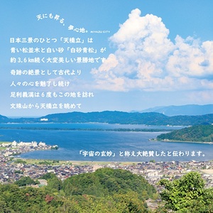 【日本三景・天橋立】旅館組合22施設から選べる旅行クーポン（宿泊・食事補助券）6,000円分 ～海の京都 宮津 で過ごす絶景旅に～ myz00 myz11 myz15