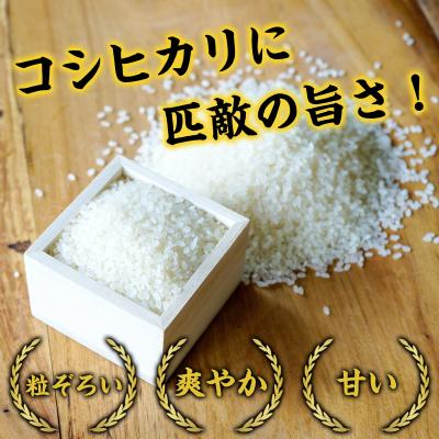 ふるさと納税 八頭町 【令和8年産米】きぬむすめ5kg(新米収穫後の10月以降発送) |  | 01