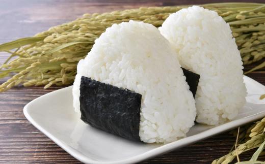 【早期予約】令和8年産 丹波篠山産コシヒカリ 玄米 5kg×12回 計60kg 丹波篠山市 ふるさと納税 株式会社　丹波篠山大内農場西の魚沼と呼ばれる 丹波篠山産 コシヒカリ！
