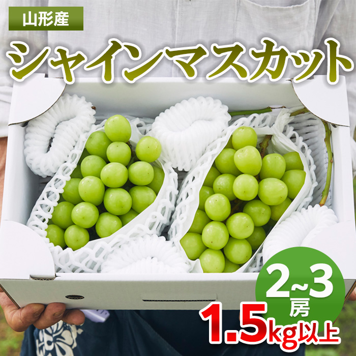 山形市産 シャインマスカット 秀1.5kg以上(2～3房）【前半】 FZ22-331