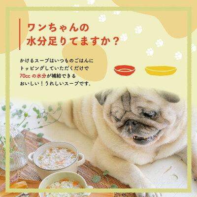 ふるさと納税 四万十市 ごはんにかけるだけ!国産豚肉と高知野菜ビタミンたっぷりスープ 24袋セット【ペットフード】26 |  | 01