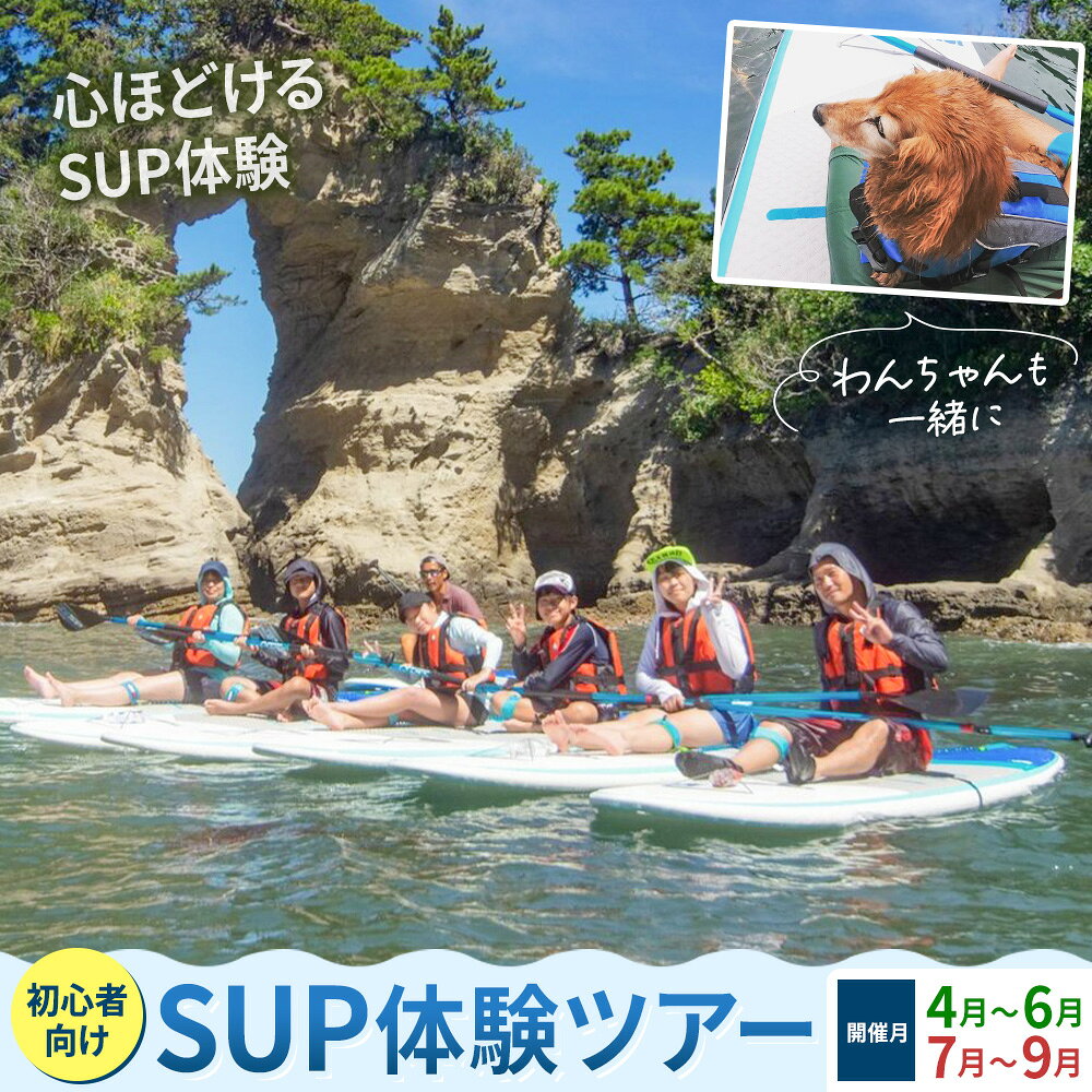 【ふるさと納税】初心者向けSUP体験ツアー 1名様 わんちゃんも一緒に 選べる 4-6月 7-9月 GO4SURF《30日以内に出荷予定(土日祝除く)》千葉県 勝浦市 マリンアクティビティ体験 マリンスポーツ 海 SUP サップ 愛犬 わんちゃん 初心者向け 初心者 体験 6歳から可能