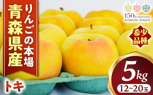 りんご【トキ】約5kg（12～20玉）【2025年産・先行予約】★2025年9月下旬～11月上旬頃まで発送予定★ りんご 林檎 リンゴ 国産 トキ 希少 フルーツ 果物 贈答 土産 青森県 三戸町 R0316